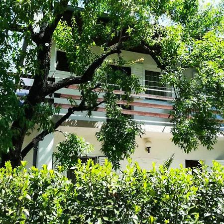 Felix Apartment Biograd Biograd Na Moru Dış mekan fotoğraf