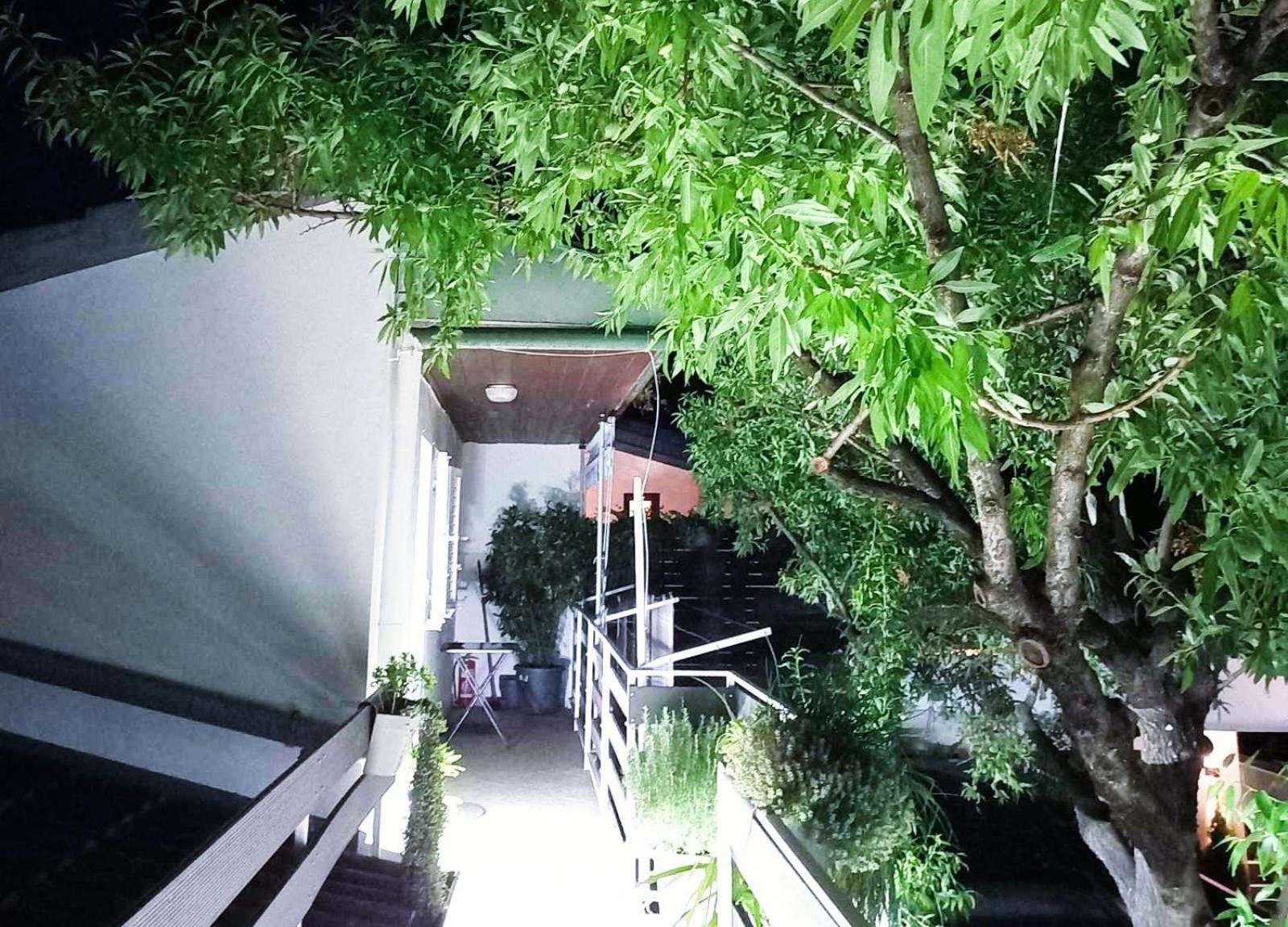 Felix Apartment Biograd Biograd Na Moru Dış mekan fotoğraf