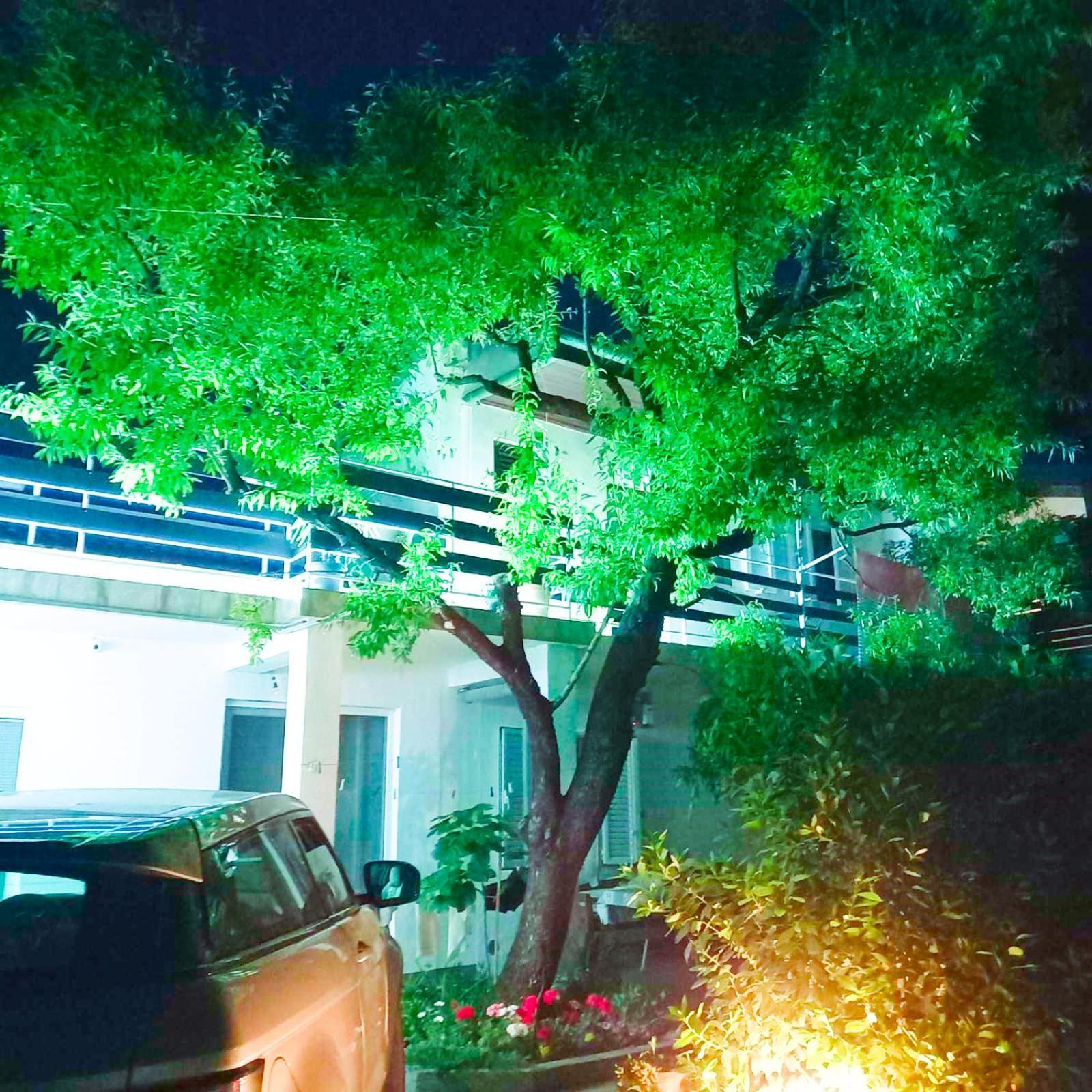 Felix Apartment Biograd Biograd Na Moru Dış mekan fotoğraf