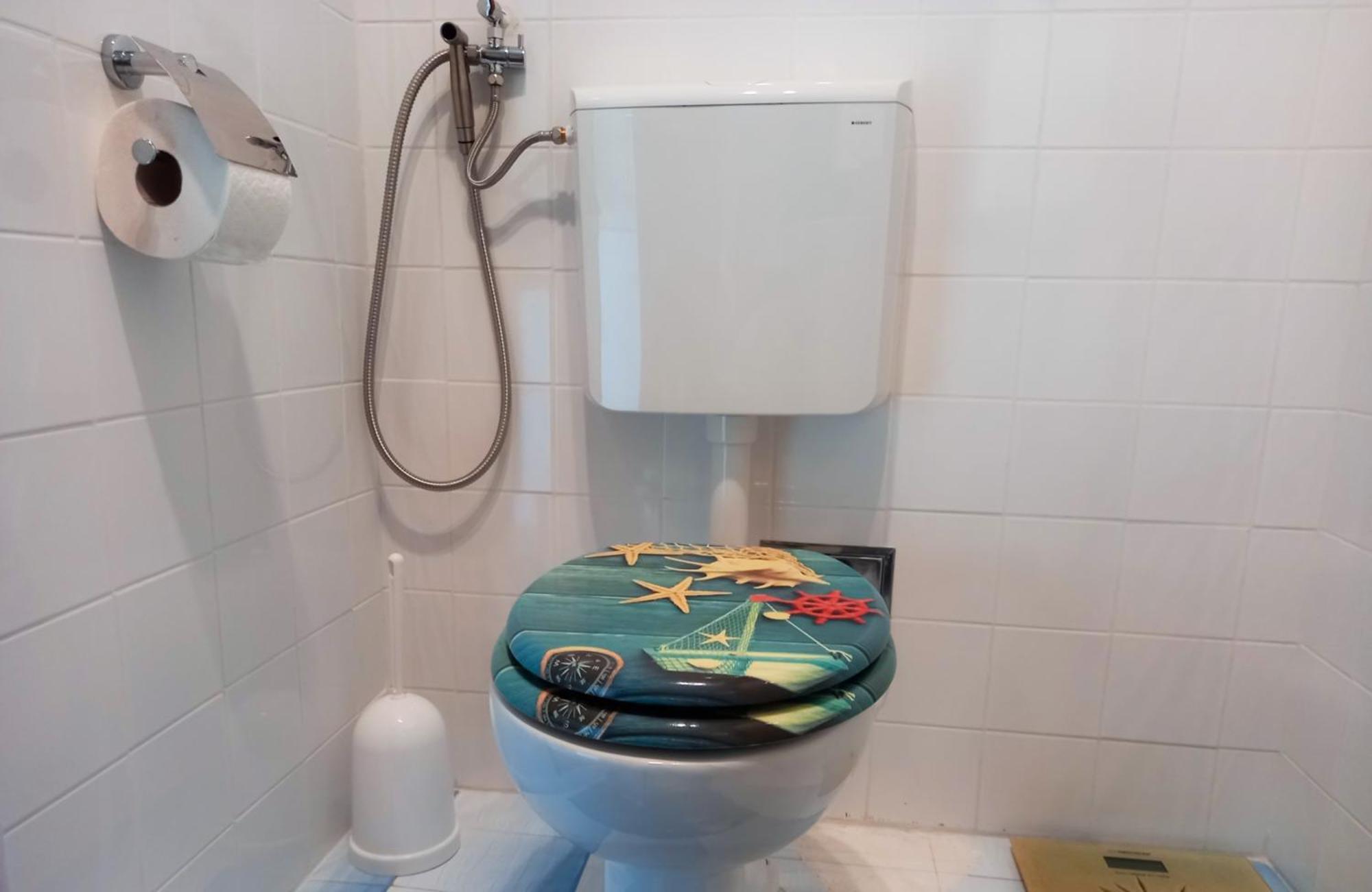 Felix Apartment Biograd Biograd Na Moru Dış mekan fotoğraf
