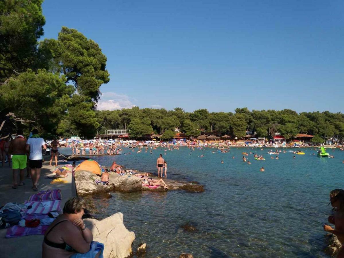 Felix Apartment Biograd Biograd Na Moru Dış mekan fotoğraf